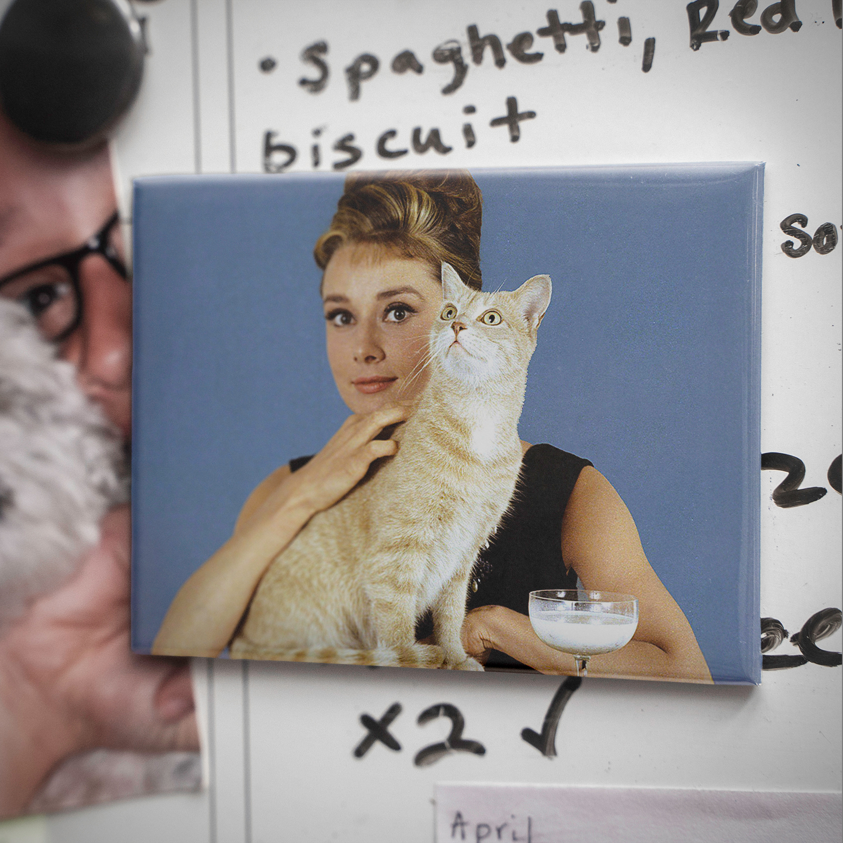 Audrey Hepburn With Cat 3.5x2.5in Magnet | Vintage Hollywood Glamour Portrait - Image 4