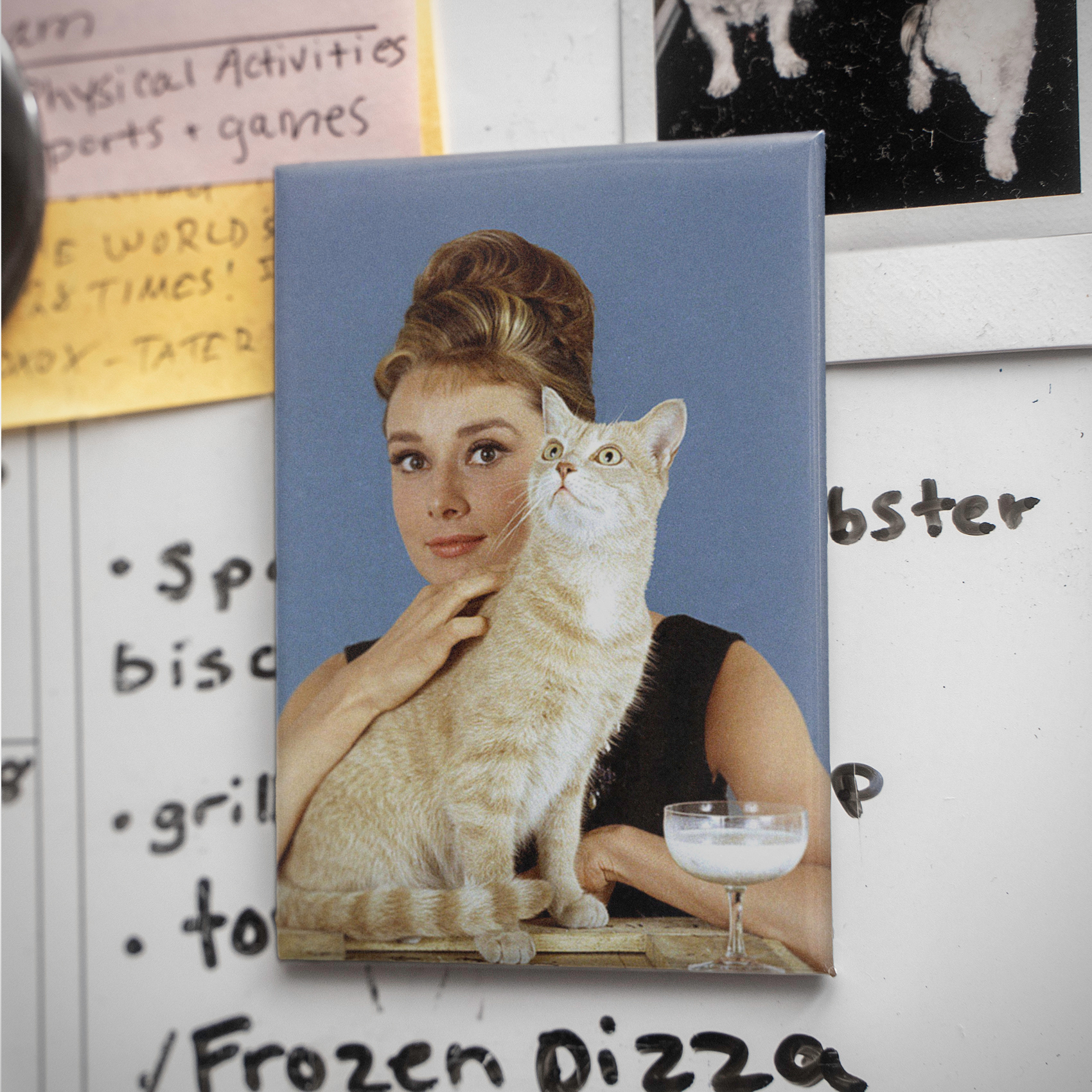 Audrey Hepburn With Cat 2.5in Magnet | Vintage Hollywood Glamour Portrait - Image 4