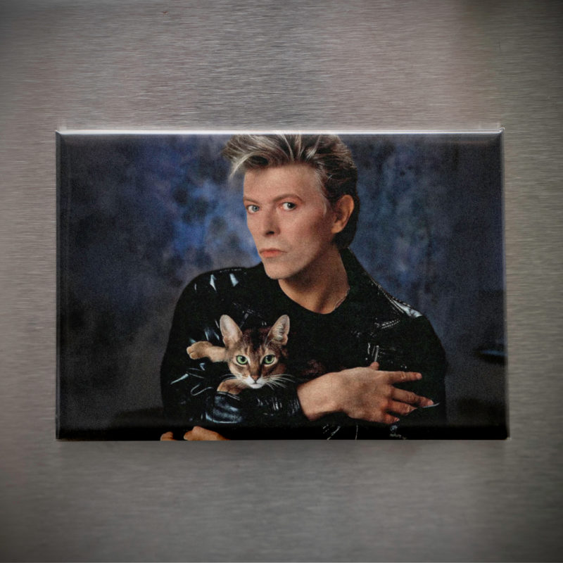 David Bowie With A Kitten 3.5x2.5in Magnet | 70s/80s/90s Rock Star with Cat