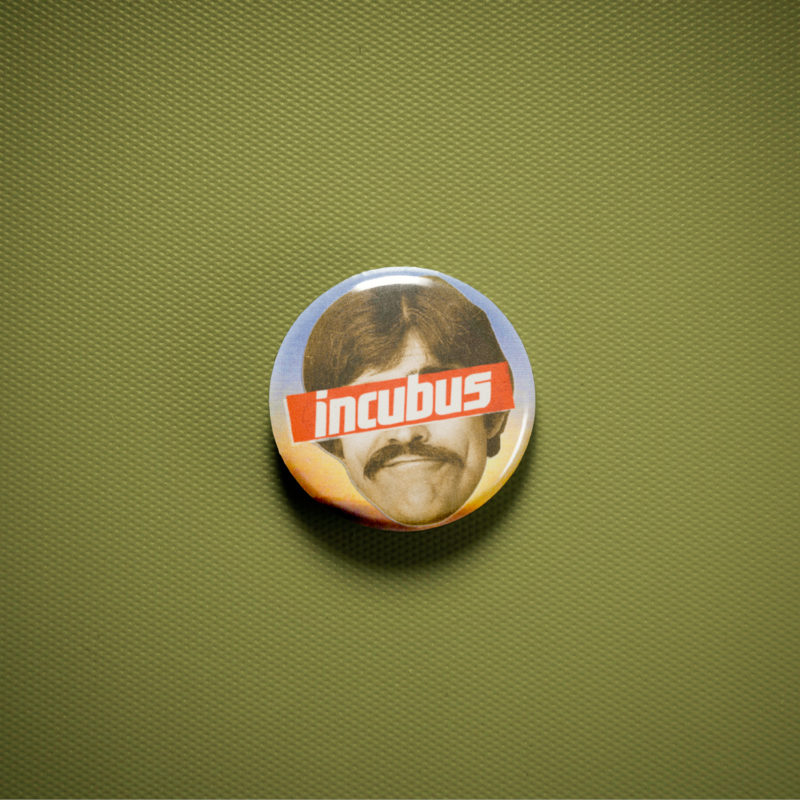 Incubus Morning View 1in Pin | 00s Alt-Metal Album Art