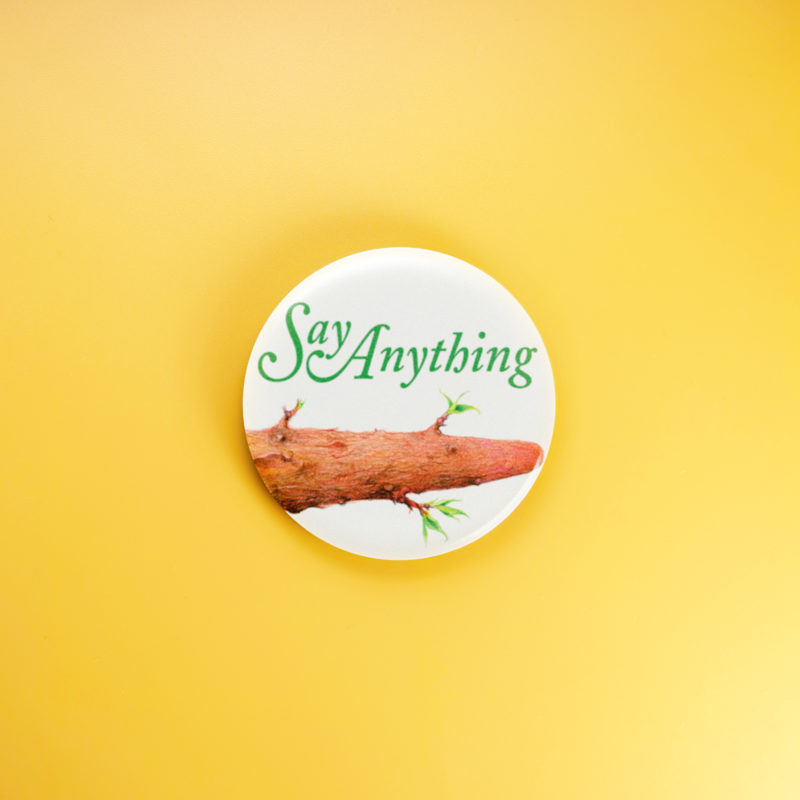 Say Anything Is A Real Boy 1.5in Pin | Max Bemis 00s Emo Album Art