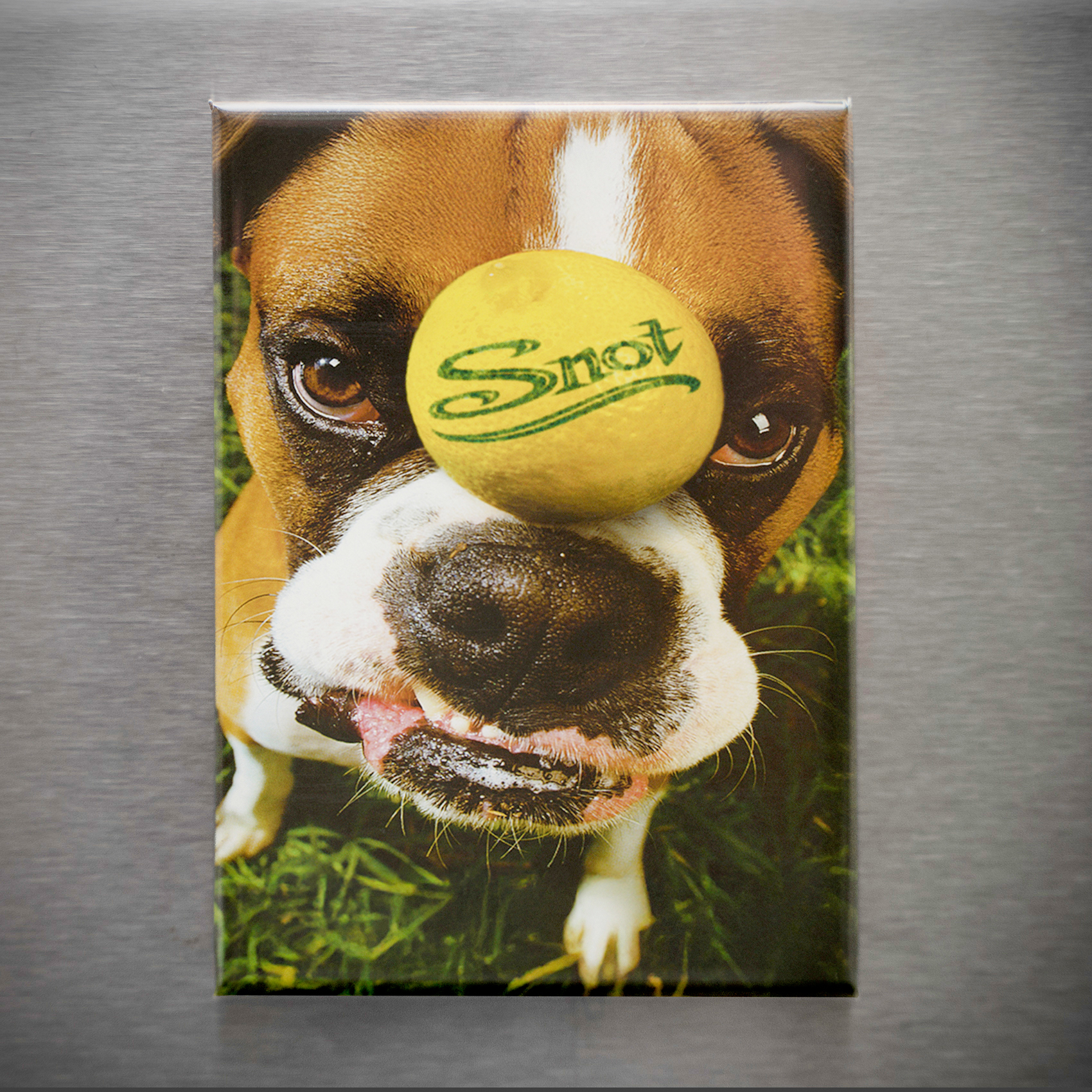 Snot Self Titled 2.5in Magnet | 90s Nu-Metal Album Art